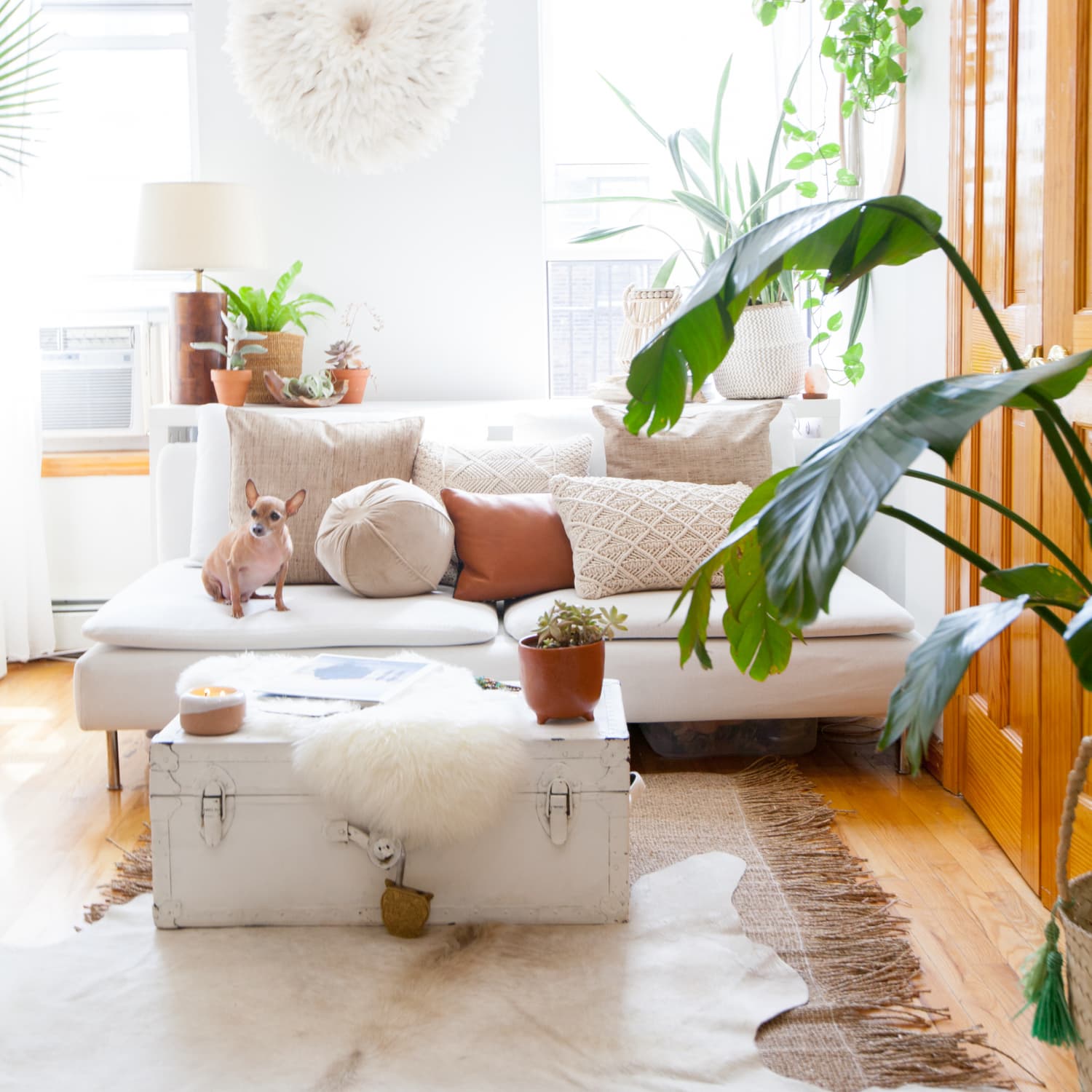 Friheten sofa cushions clearance